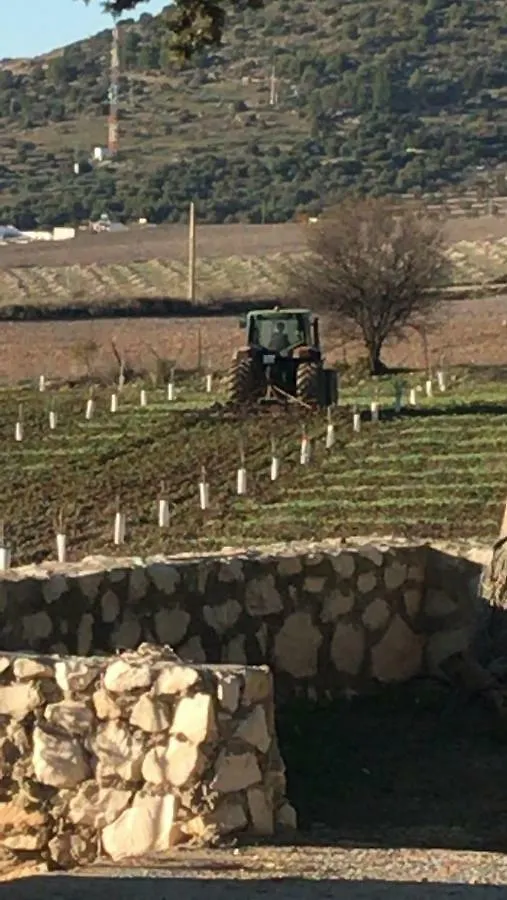 Holiday home Vtar Don Benito, Su Casa Rural En Gilena Spain